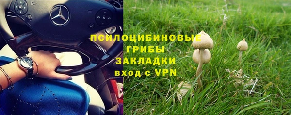 трава Алексин