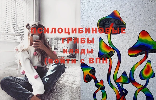 спиды Алексеевка