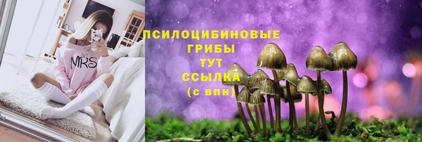 спиды Алексеевка